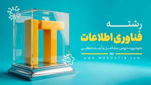 Information Technology major