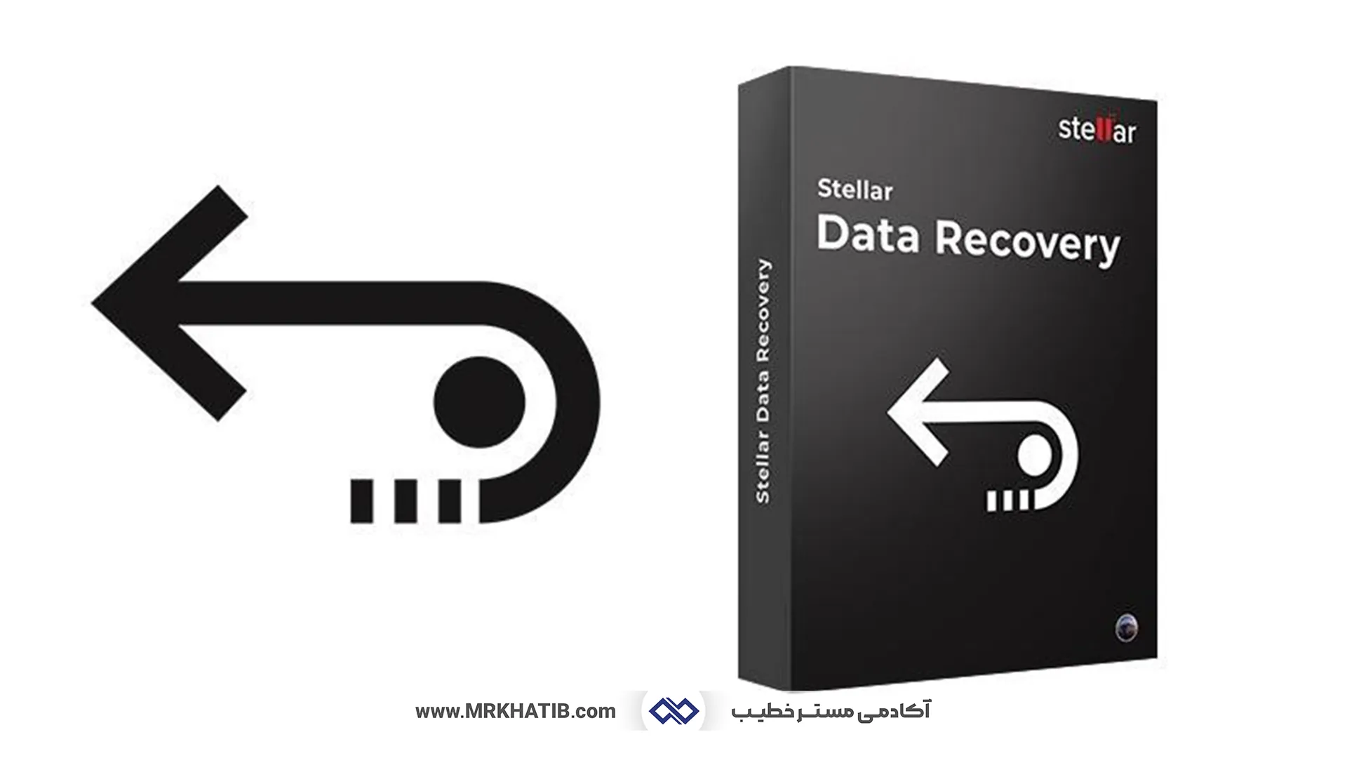 Stellar Data Recovery